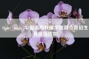 海东中国消防救援学院简介及招生章程指挥部