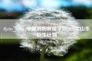 海东中国消防救援学院2021年山东招生计划