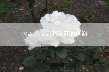 海东消防证的查询