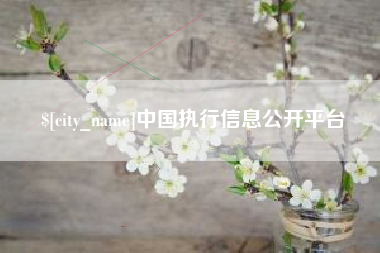 海东中国执行信息公开平台