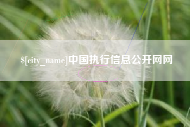 海东中国执行信息公开网网