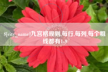 海东九宫格规则,每行,每列,每个粗线都有1-9
