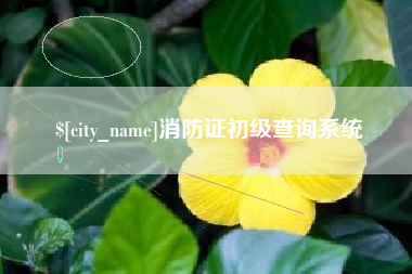 海东消防证初级查询系统