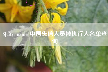 海东中国失信人员被执行人名单查询