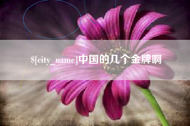 海东中国的几个金牌啊