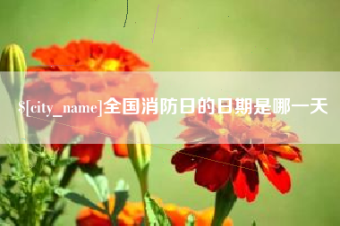 海东全国消防日的日期是哪一天