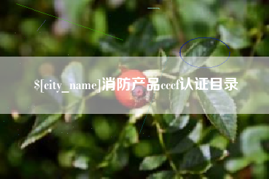 海东消防产品cccf认证目录