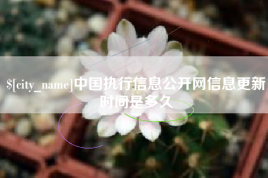 海东中国执行信息公开网信息更新时间是多久