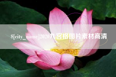 海东2020九宫格图片素材高清