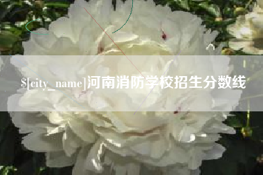 海东河南消防学校招生分数线