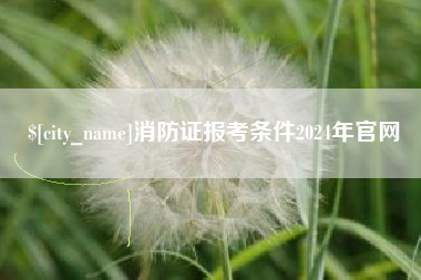 海东消防证报考条件2024年官网