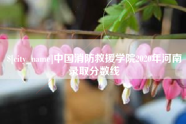 海东中国消防救援学院2020年河南录取分数线