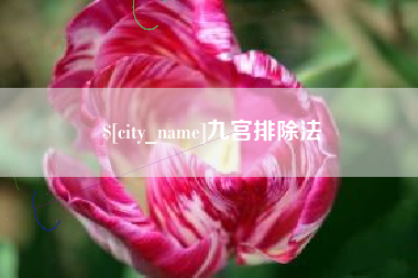 海东九宫排除法