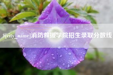 海东消防救援学院招生录取分数线