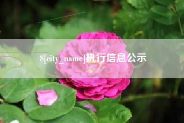 海东执行信息公示