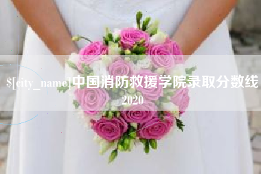 海东中国消防救援学院录取分数线2020