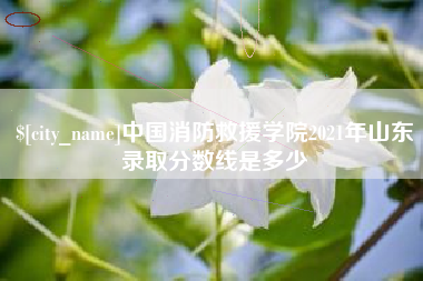 海东中国消防救援学院2021年山东录取分数线是多少