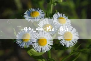 海东成都 消防