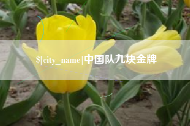 海东中国队九块金牌