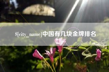 海东中国有几块金牌排名