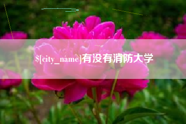 海东有没有消防大学