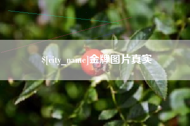 海东金牌图片真实