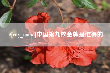 海东中国第九枚金牌是谁得的