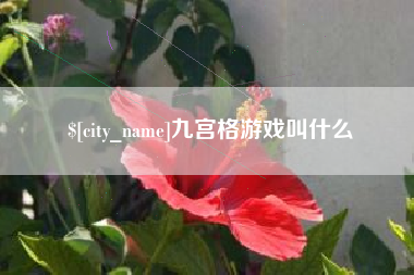 海东九宫格游戏叫什么