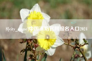 海东中国消防官网报名入口2024