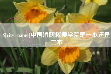 海东中国消防救援学院是一本还是二本