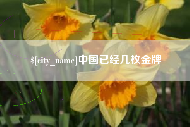 海东中国已经几枚金牌