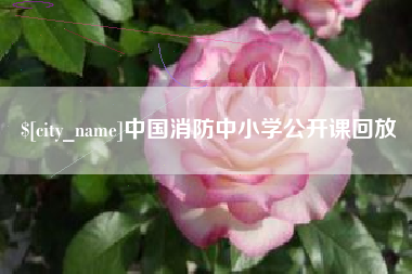 海东中国消防中小学公开课回放