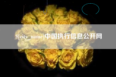 海东中国执行信息公开网