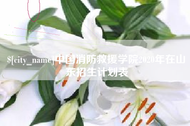 海东中国消防救援学院2020年在山东招生计划表