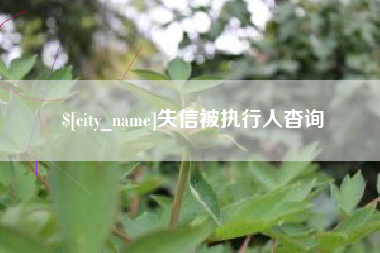 海东失信被执行人杳询