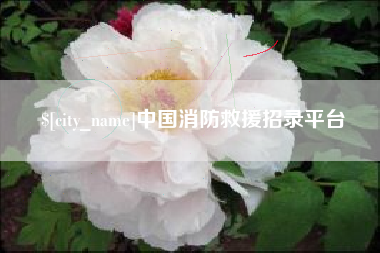 海东中国消防救援招录平台