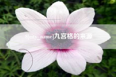 海东九宫格的来源