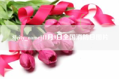 海东11月9日全国消防日图片
