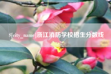 海东浙江消防学校招生分数线