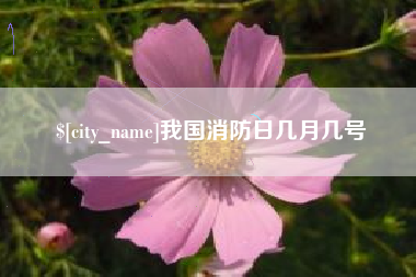 海东我国消防日几月几号