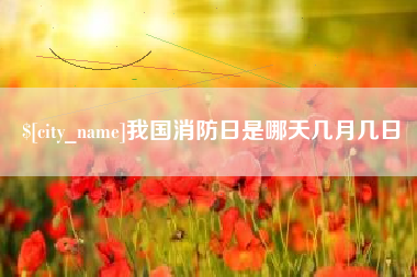 海东我国消防日是哪天几月几日