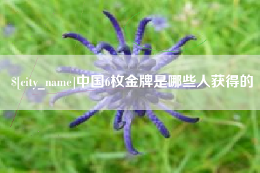 海东中国6枚金牌是哪些人获得的