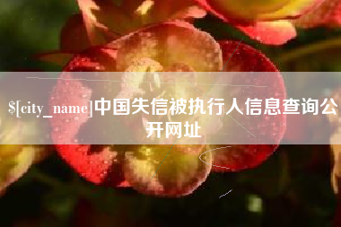海东中国失信被执行人信息查询公开网址