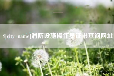 海东消防设施操作员证书查询网址