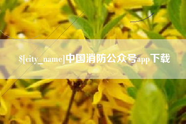 海东中国消防公众号app下载