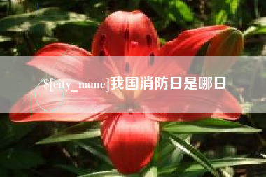 海东我国消防日是哪日