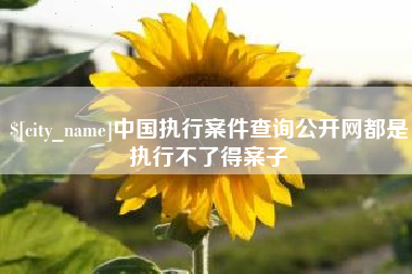 海东中国执行案件查询公开网都是执行不了得案子
