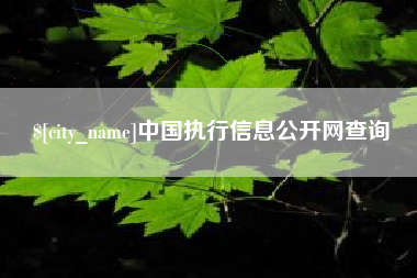 海东中国执行信息公开网查询