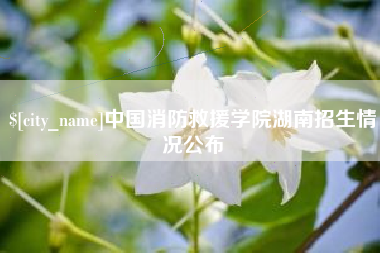 海东中国消防救援学院湖南招生情况公布