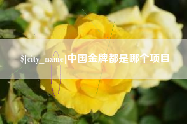 海东中国金牌都是哪个项目